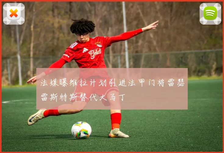法媒曝维拉计划引进法甲门将雷瑟雷斯特斯替代大马丁